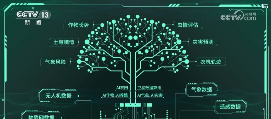 “種地種出成就感”！衛(wèi)星巡田、遠(yuǎn)程田管農(nóng)業(yè)生產(chǎn)煥發(fā)新活力(圖3)
