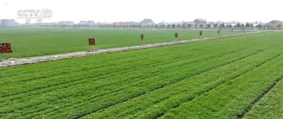 “種地種出成就感”！衛(wèi)星巡田、遠(yuǎn)程田管農(nóng)業(yè)生產(chǎn)煥發(fā)新活力(圖14)