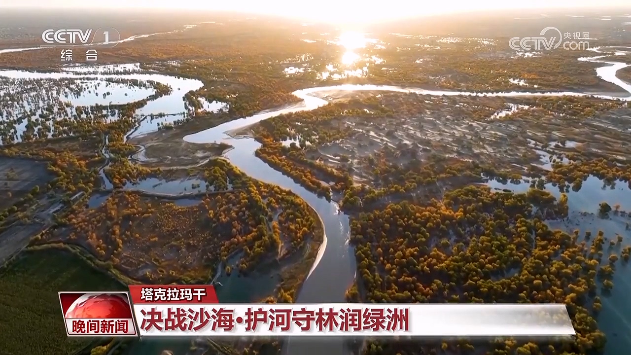 決戰(zhàn)沙海｜護河守林潤綠洲