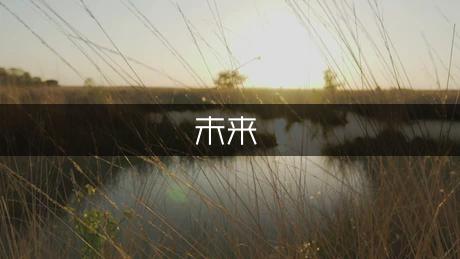 ST-5 微小衛(wèi)星及其空間飛行驗(yàn)-為未來微小衛(wèi)星的空間應(yīng)用展
