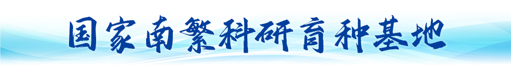衛(wèi)星視角看中國(guó)｜大國(guó)工程“瞰”變化(圖13)