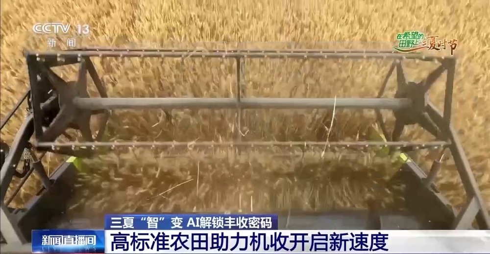 “三夏”AI智能體帶您解鎖豐收密碼！(圖8)