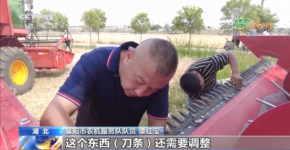“三夏”AI智能體帶您解鎖豐收密碼！(圖15)