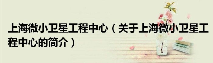 上海微小衛(wèi)星工程中心（關(guān)于上海微小衛(wèi)星工程中心的簡(jiǎn)介）