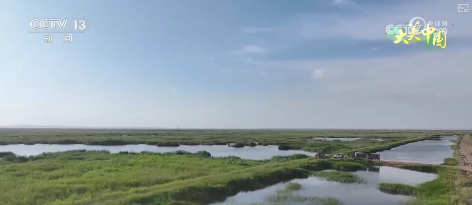 東北虎豹數(shù)量增長(zhǎng)、沙漠變綠洲……科技助力 生態(tài)蛻變盡顯“智慧”底色(圖8)
